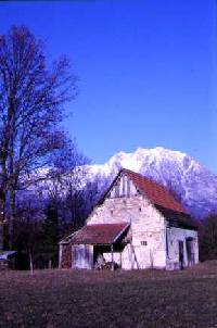 Clicca