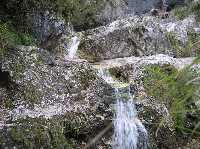 Clicca