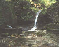 Clicca