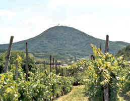 Clicca
